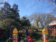 -白家大院·王府宫廷菜(苏州街店)