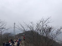 -紫金山山顶公园