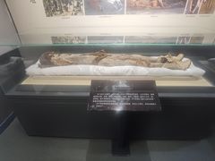 -巴音郭楞蒙古自治州博物馆