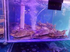 -四海蒸鲜蒸汽海鲜自助(北戴河店)