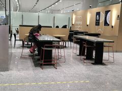 大堂-麦当劳(北京大兴机场二层国内到达(安检外)店)