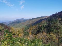 -四明山国家森林公园
