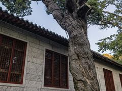 -青岛崂山太清宫