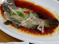 -寻味顺德·南记酒家·传统顺德菜·鱼生(广源路店)