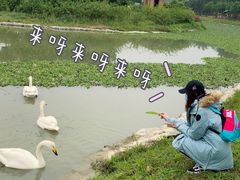 -迪卡侬(西三旗店)