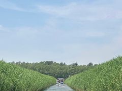 -白洋淀景区