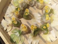 -德发长·花式蒸饺(大唐不夜城店)