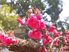 -中南财经政法大学(首义校区)