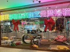 -大型宠物商超·宠海王国·宠物猫狗活体·用品·美容(新世界百货重庆店)