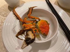 -苔圣园酒家(尊木汇国际艺术广场店)