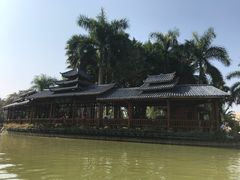 -金花茶公园