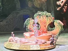 -广州长隆国际大马戏