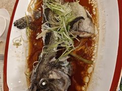 -麒麟中餐厅·经典粤菜·地道菜式老字号(广州长隆酒店)
