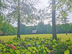 -上海滨江森林公园
