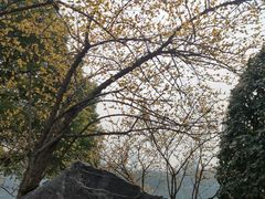 -宝岛公园