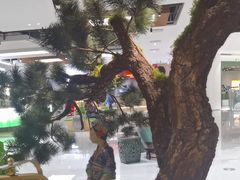 -锦府盐帮·侯宅(五棵松万达店)