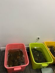 -邵老师打金·黄金加工(大望路总店)