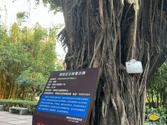 -晓港公园