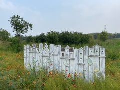 -野鸭湖国家湿地公园