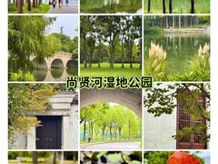 -尚贤河湿地