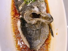 -骏莱海鲜鱼港(五角场店)