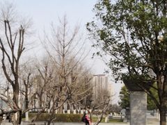 -木塔寺遗址生态公园