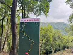 -东莞市大岭山森林公园