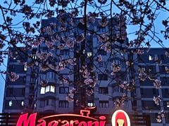 -玛格萝妮比萨屋(四平店)