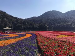 -广州市石门国家森林公园