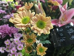 -Butchart布查德鲜花(花艺设计中心)