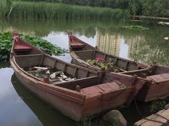 -前关湿地公园