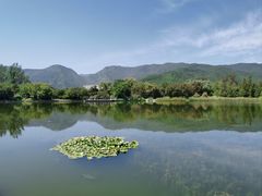 -国家植物园南园