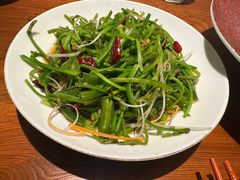 -菌自由丨野生菌火锅特色庭院餐厅(丽江古城店)