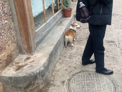 -胖金妹鸡豆凉粉店
