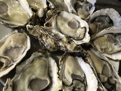 -千岛蚝高压锅生蚝·人参火锅(白云万达店)