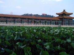 -南戴河国际娱乐中心