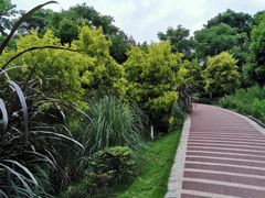 -金海湾滨江公园
