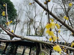 -锦溪古镇