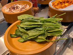 -龍歌自助小火锅(市南金茂湾店)