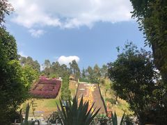 -云南野生动物园