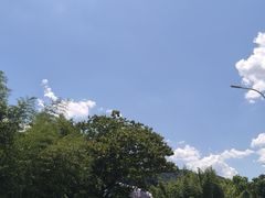 -芦茨金富饭庄·25年老字号·专做稻草鸡