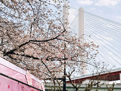 -南浦大桥长途旅游客运站