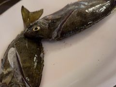 -青蓬蒸汽海鲜·深圳老字号·团建聚会(壹方城店)