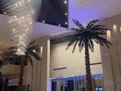 -常州环球恐龙城维景国际大酒店