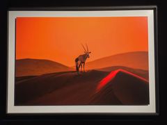 -罗红摄影艺术馆