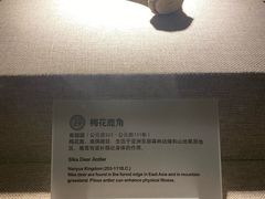 -南越王博物院(王宫展区)
