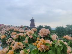 -厦门园林博览苑