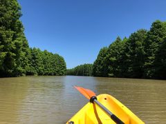 -上海海湾国家森林公园