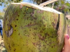 -白沙门生态公园