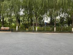 -大兴滨河森林公园